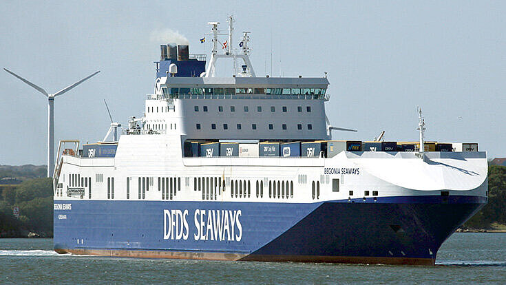 Begonia Seaways Begonia Seaways