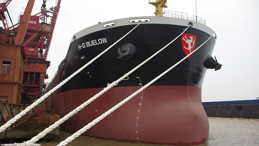 Der Bulkcarrier "H-G Buelow" ist ein 57.000-Tonner des Typs "Dolphin Handymax". Foto: Reederei Wulff Der Bulkcarrier "H-G Buelow" ist ein 57.000-Tonner des Typs "Dolphin Handymax". Foto: Reederei Wulff