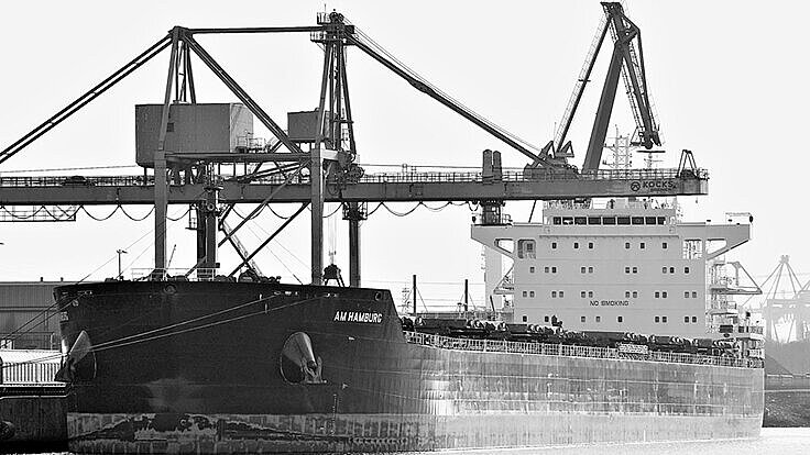 AM Hamburg AM Hamburg