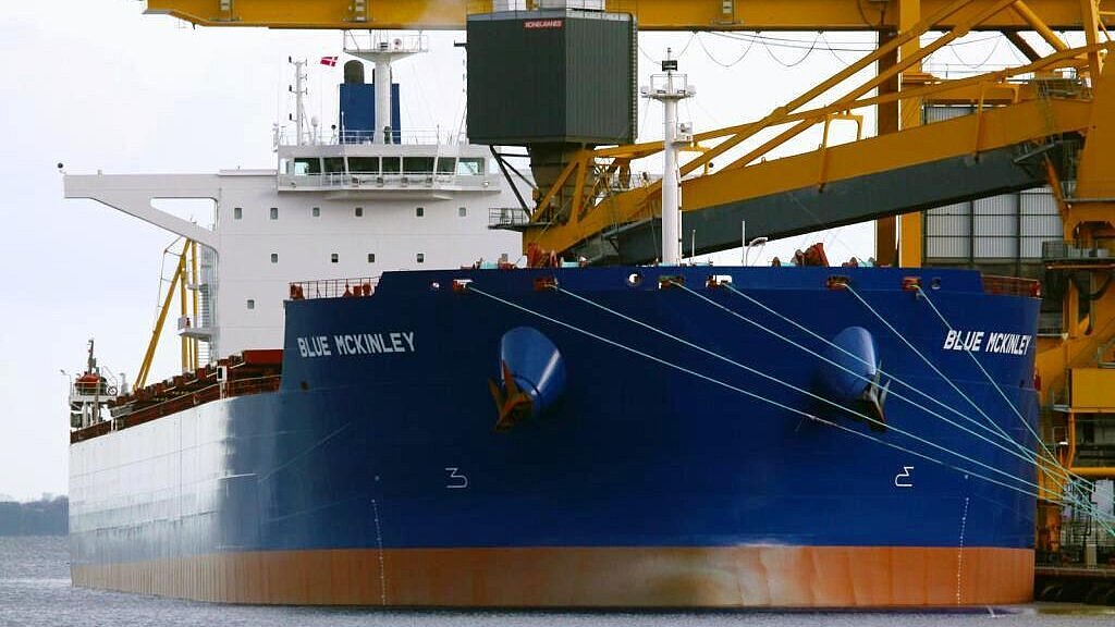 Auch 2011 wurde eine hohe Zahl neuer Bulker abgeliefert. Foto: Hasenpusch Auch 2011 wurde eine hohe Zahl neuer Bulker abgeliefert. Foto: Hasenpusch