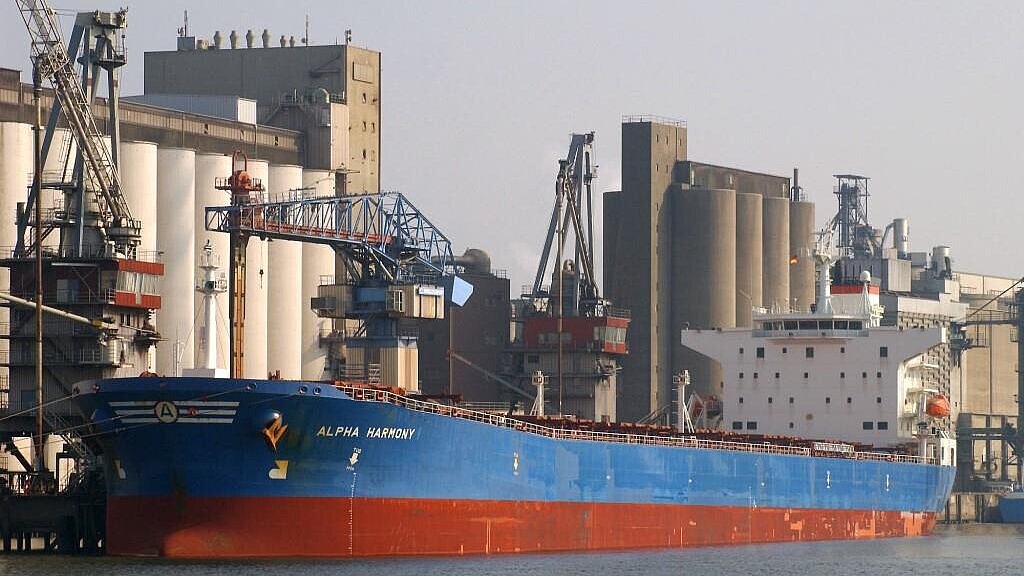 Die "Alpha Harmony" misst 224 Meter. Foto: Hasenpusch