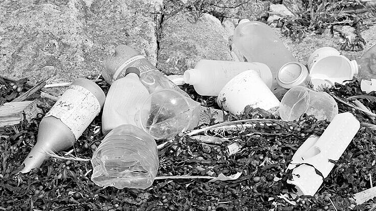 Plastikmüll aus den Meeren